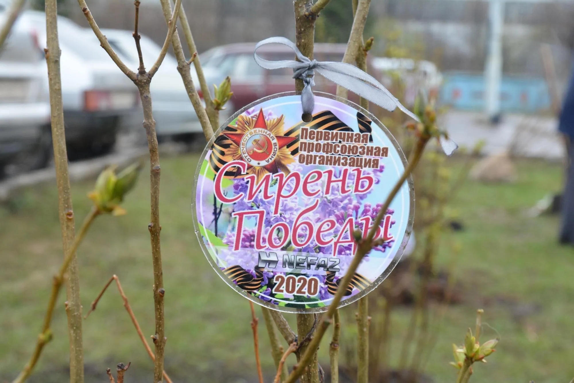 На «НЕФАЗе» появилась аллея «Сирень Победы» На «НЕФАЗе» появилась аллея «Сирень Победы»