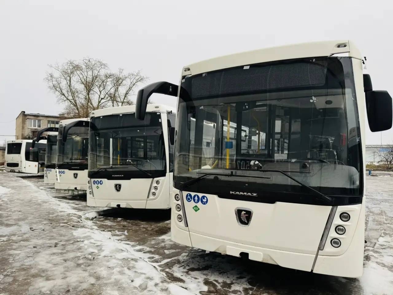 В Череповец поступили газомоторные автобусы НЕФАЗ В Череповец поступили газомоторные автобусы НЕФАЗ